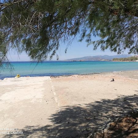 Beach N Fun Bbq Fireplace Saronida 客房 照片